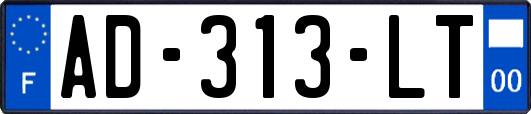 AD-313-LT