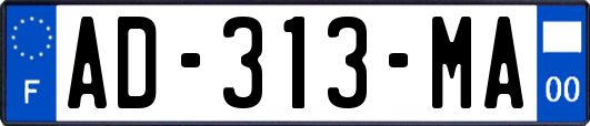 AD-313-MA