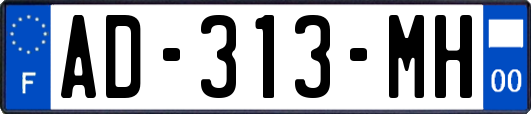 AD-313-MH