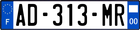 AD-313-MR
