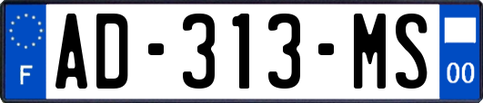 AD-313-MS