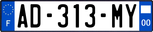 AD-313-MY