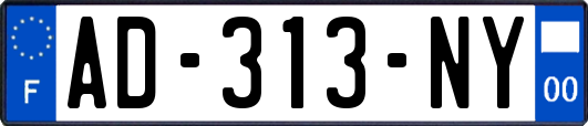 AD-313-NY
