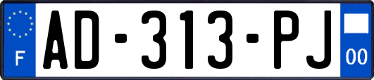 AD-313-PJ