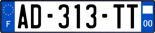 AD-313-TT