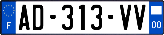 AD-313-VV