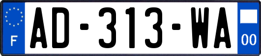 AD-313-WA