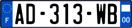 AD-313-WB