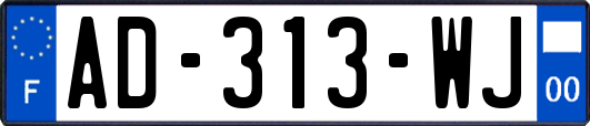 AD-313-WJ