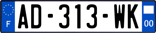 AD-313-WK
