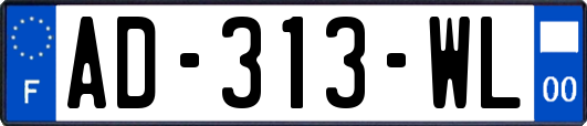 AD-313-WL
