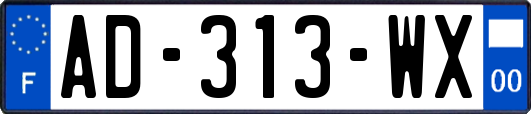 AD-313-WX