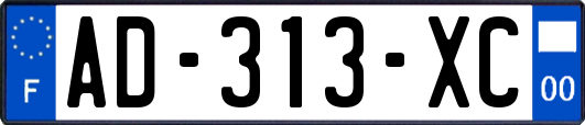 AD-313-XC
