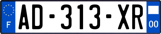 AD-313-XR