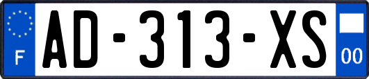 AD-313-XS
