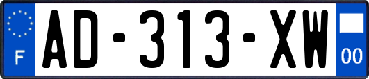 AD-313-XW