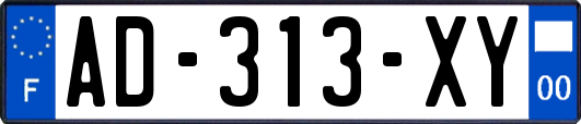 AD-313-XY
