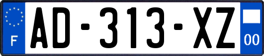 AD-313-XZ