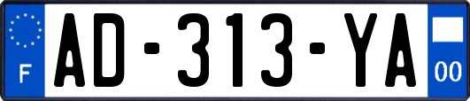 AD-313-YA