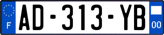 AD-313-YB