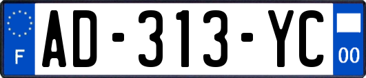 AD-313-YC