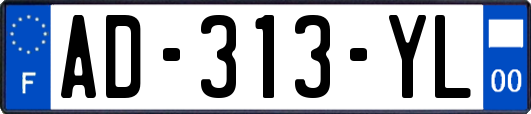 AD-313-YL