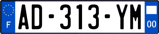 AD-313-YM