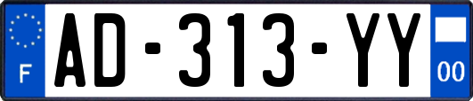 AD-313-YY