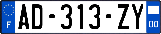 AD-313-ZY