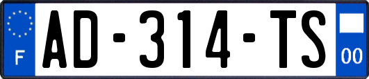 AD-314-TS