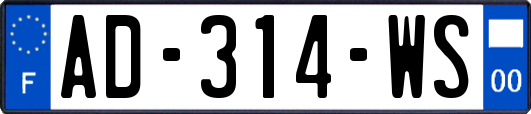 AD-314-WS