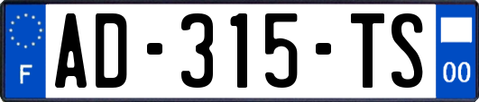 AD-315-TS