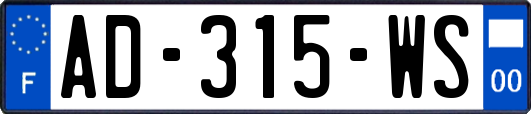 AD-315-WS