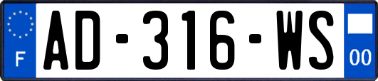 AD-316-WS