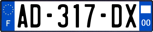 AD-317-DX