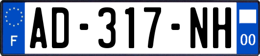 AD-317-NH