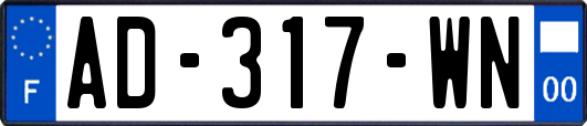 AD-317-WN