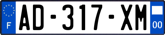AD-317-XM