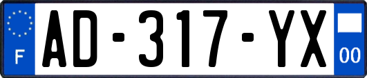 AD-317-YX