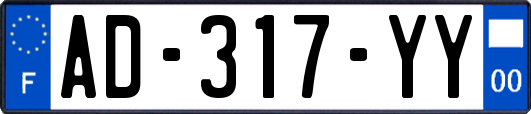 AD-317-YY