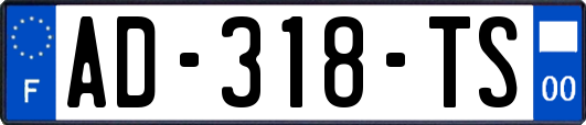 AD-318-TS