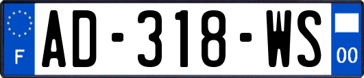 AD-318-WS