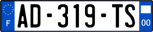 AD-319-TS