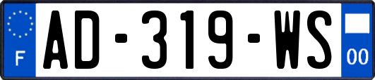 AD-319-WS