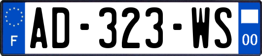 AD-323-WS