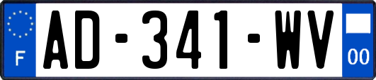 AD-341-WV