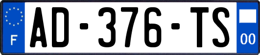 AD-376-TS