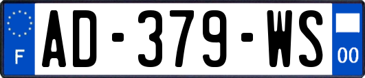 AD-379-WS