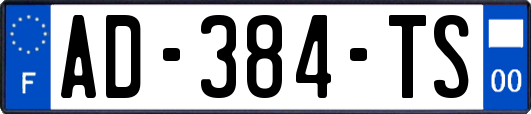 AD-384-TS