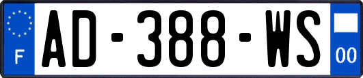 AD-388-WS